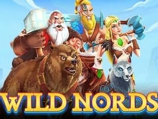 Wild Nords icon